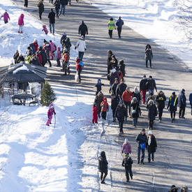A crowd of people dressed in winter gear walk along the main path of Rideau Hall. 