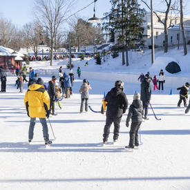 A photo of the Rideau Hall skating rink.  In the fore-ground, people are playing hockey, in the back, people are enjoying free skating. 