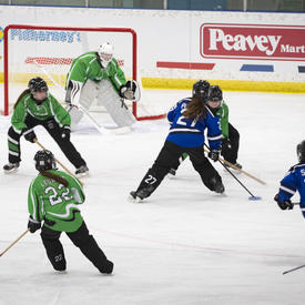 Hockey players in blue and green jerseys.