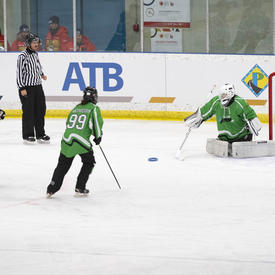 Hockey players in blue and green jerseys.