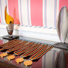 The medals are laid out on a table. 