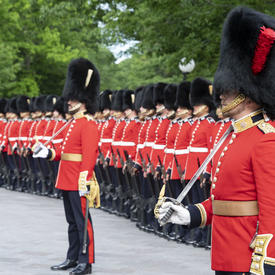 Les gardes de cérémonie se tiennent au garde-à-vous en ligne droite, prêts pour l'inspection.