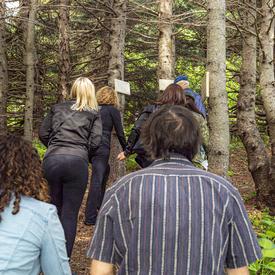 The Governor General and a small group venture into the woods to view the marked trees at the Verger.