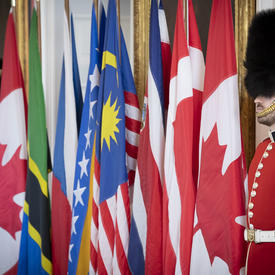 Two Governor General Foot Guards stand beside flags. 