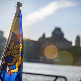 Picture of a flag with a blurred background. 