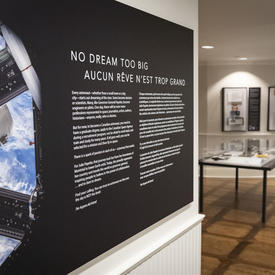 Part of the Dare to Dream exhibition, presented at Rideau Hall until 2022.