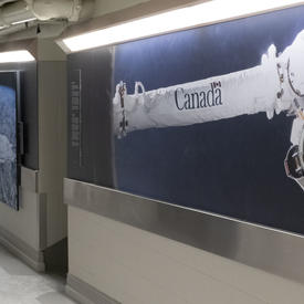 The Canadarm2 is one of the most sophisticated space robots ever built. 