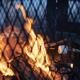 A photo of a warm fire at Rideau Hall, marshmallow roasting above. 