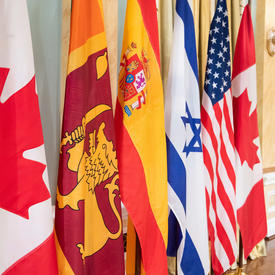 National flags are lined up in a row between two Canadian flags.