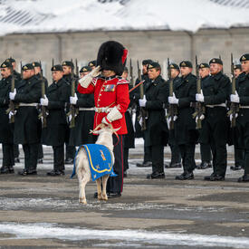 Un garde cérémoniel salue. Il y a une chèvre avec lui et des militaires derrière eux.