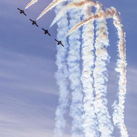 The Snowbirds impressed the crowd with their manoeuvres and aerial prowess.