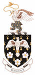 Arms of Udo Hanebaum