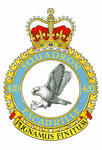 Badge of the 420 Combat Support Squadron Badge of the 420 Combat Support Squadron