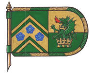 Drapeau de Thomas Alfred Curley