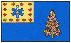 Flag of the Paramedic Chiefs of Canada (Yukon)