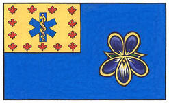 Flag of the Paramedic Chiefs of Canada (New Brunswick)