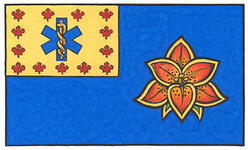 Flag of the Paramedic Chiefs of Canada (Saskatchewan)