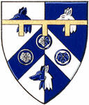 Differenced Arms for Derrick Akito Townson, son of Alexander Derrick Townson