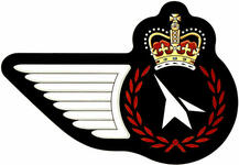 Badge of Aircraft Maintenance Superintendent