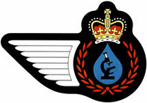 Badge of a Water, Fuels and Environment Technician of the Royal Canadian Air Force