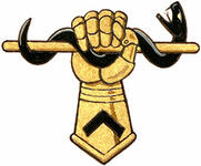 Badge of Hafiz Feezer Kassam Badge of Hafiz Feezer Kassam
