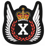 Insigne d'un ingénieur des essais en vol des Forces armées canadiennes Insigne d'un ingénieur des essais en vol des Forces armées canadiennes