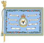 Drapeau du 401e Escadron d’appui tactique