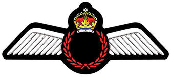 Encadrement d'insigne pour les qualifications du personnel navigant de l’Aviation royale canadienne