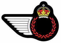 Encadrement d'insigne pour les métiers de l’Aviation royale canadienne Encadrement d'insigne pour les métiers de l’Aviation royale canadienne