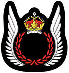 Insigne des Qualifications de l’équipage de vol