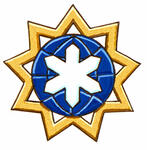 Insigne de Mehran Anvari