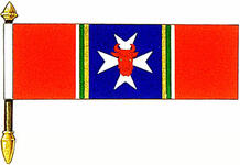 Flag of Corneliu Emil Eugen Chisu