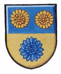 Differenced Arms for Michael Scott Patterson, son of Janet Eleanor Patterson