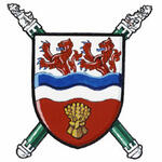 Authorized usage for the Arms of Peter Andrew Stewart Milliken