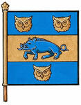 Flag of Halvar De La Cluyse Jonson