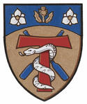 Differenced Arms for Andrew Duncan Sills, stepson of Richard Alan White