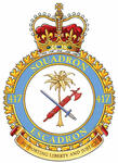 Badge of the 417 Combat Support Squadron Badge of the 417 Combat Support Squadron