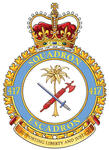 Insigne du 417e Escadron de soutien au combat