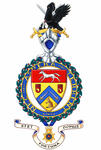 Arms of George Arthur