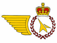 Badge of an Aircraft Maintenance Superintendent