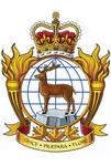 Badge of the Peace Support Training Centre Badge of the Peace Support Training Centre
