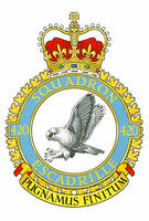 Badge of the 420 Combat Support Squadron