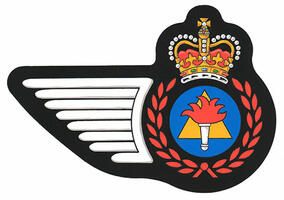 Badge of Training Development of the Canadian Armed Forces