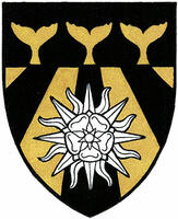 Differenced Arms for Emily Anne Gilboe, grandchild of David Farrar