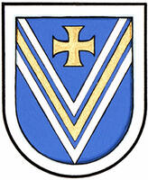 Differenced Arms for Michael Sleiman Vicente, son of Oscar Silva Vicente