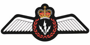 Insigne d'un opérateur de détecteurs électroniques aéroportés des Forces armées canadiennes