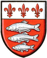 Differenced Arms for Alphée Roche-Noël, son of Anne Roche-Noël