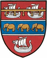 Differenced Arms for Cyrus Langmead Larsen, grandson of Carl Anders Larsen