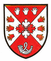 Differenced Arms for David Patrick Anthony Martin, son of Paul Edgar Phillippe Martin