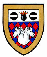 Differenced Arms for Sophia Julianna Lang, daughter of Scott Martin Lang